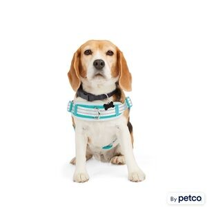 Embrace the Pace Blue Dog Harness for Walks/Training